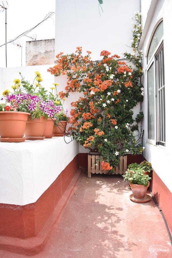 Veedor 12 Apartment Cádiz Exterior photo