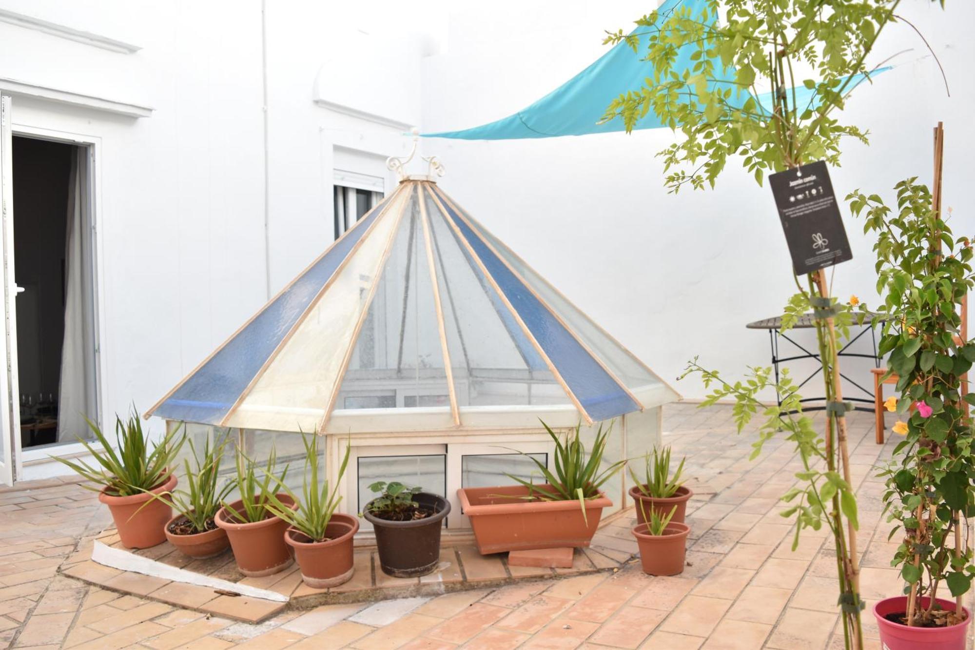 Veedor 12 Apartment Cádiz Exterior photo