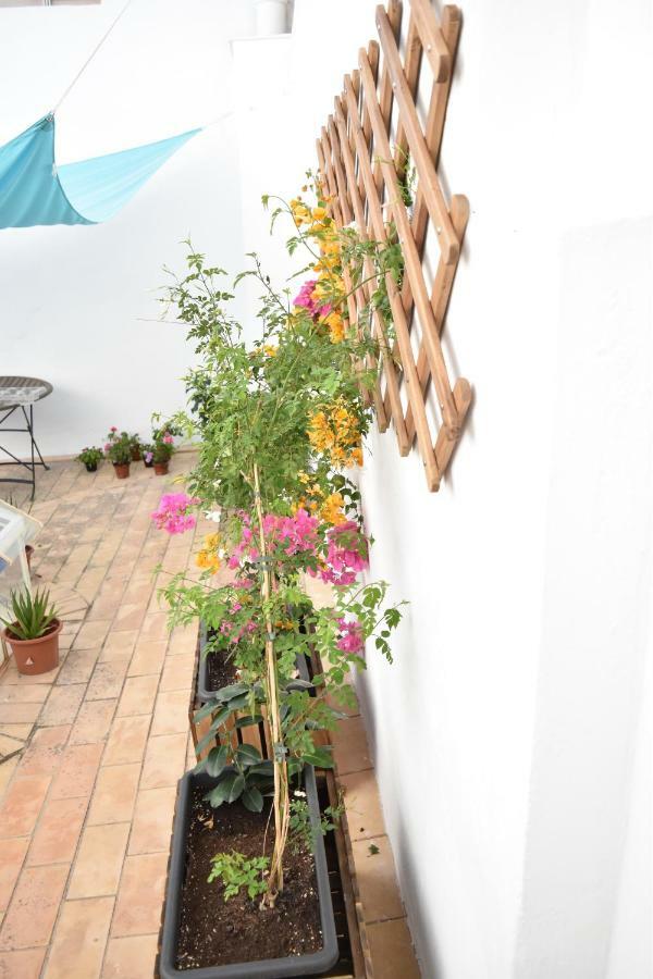 Veedor 12 Apartment Cádiz Exterior photo